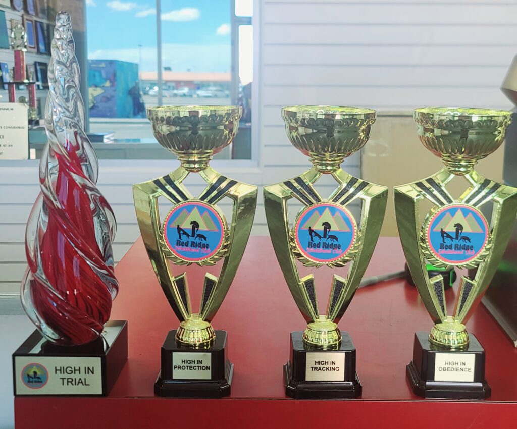 Custom trophy award Las Vegas - Abbott Trophies